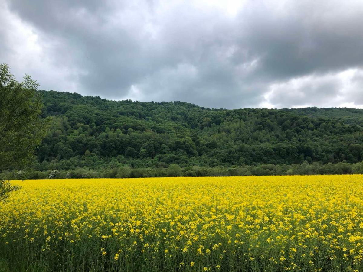 Апартаменти Олівія Skhidnytsia ภายนอก รูปภาพ