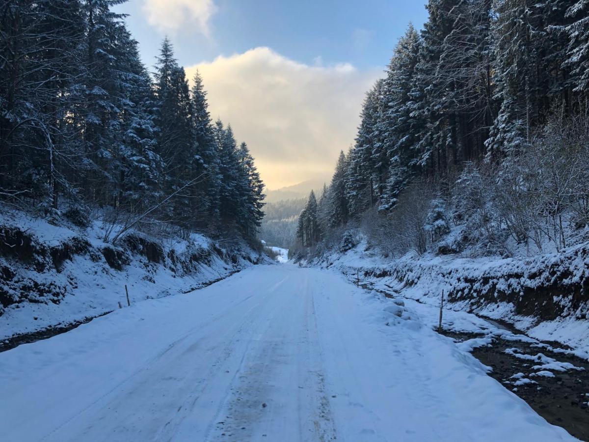 Апартаменти Олівія Skhidnytsia ภายนอก รูปภาพ